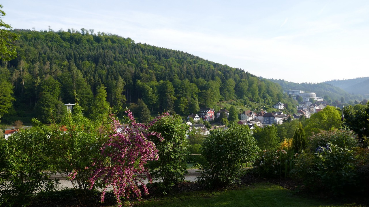 Photo of Outdoor in Bad Herrenalb