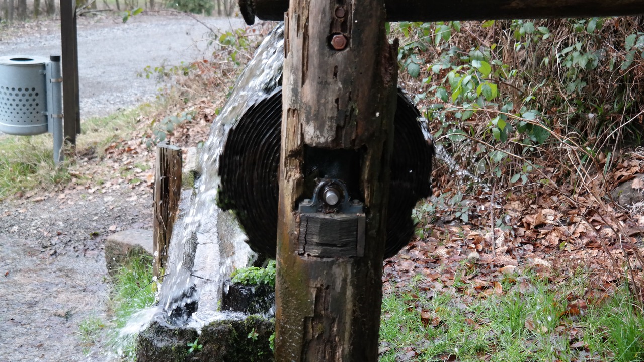 Photo of Outdoor in Bad Herrenalb