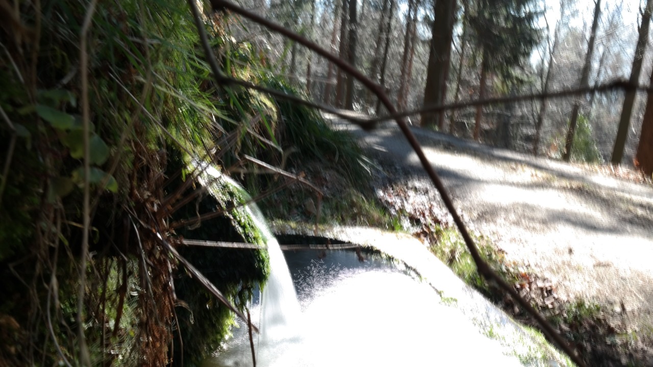 Photo of Outdoor in Bad Herrenalb