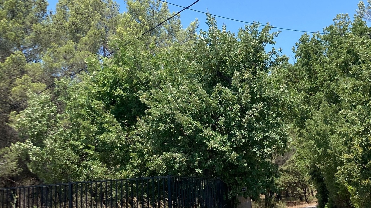 Photo of Outdoor in Vidauban