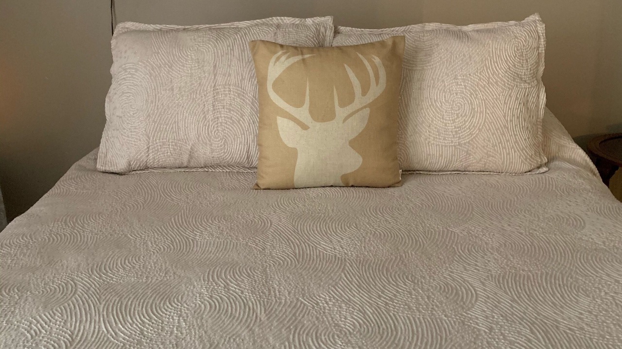 Photo of Bedroom in Upper Peninsula Michigan
