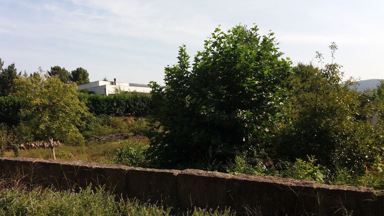 Photo of Outdoor in Mondim de Basto