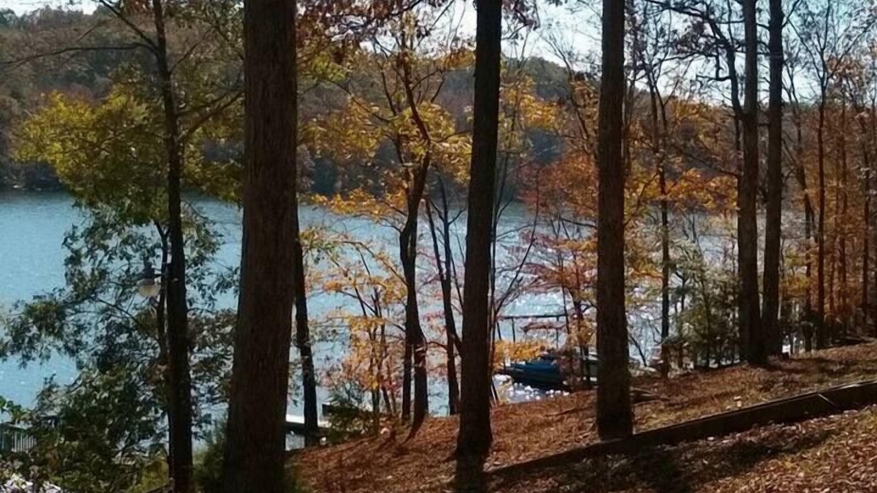 Photo of Outdoor in Goreville