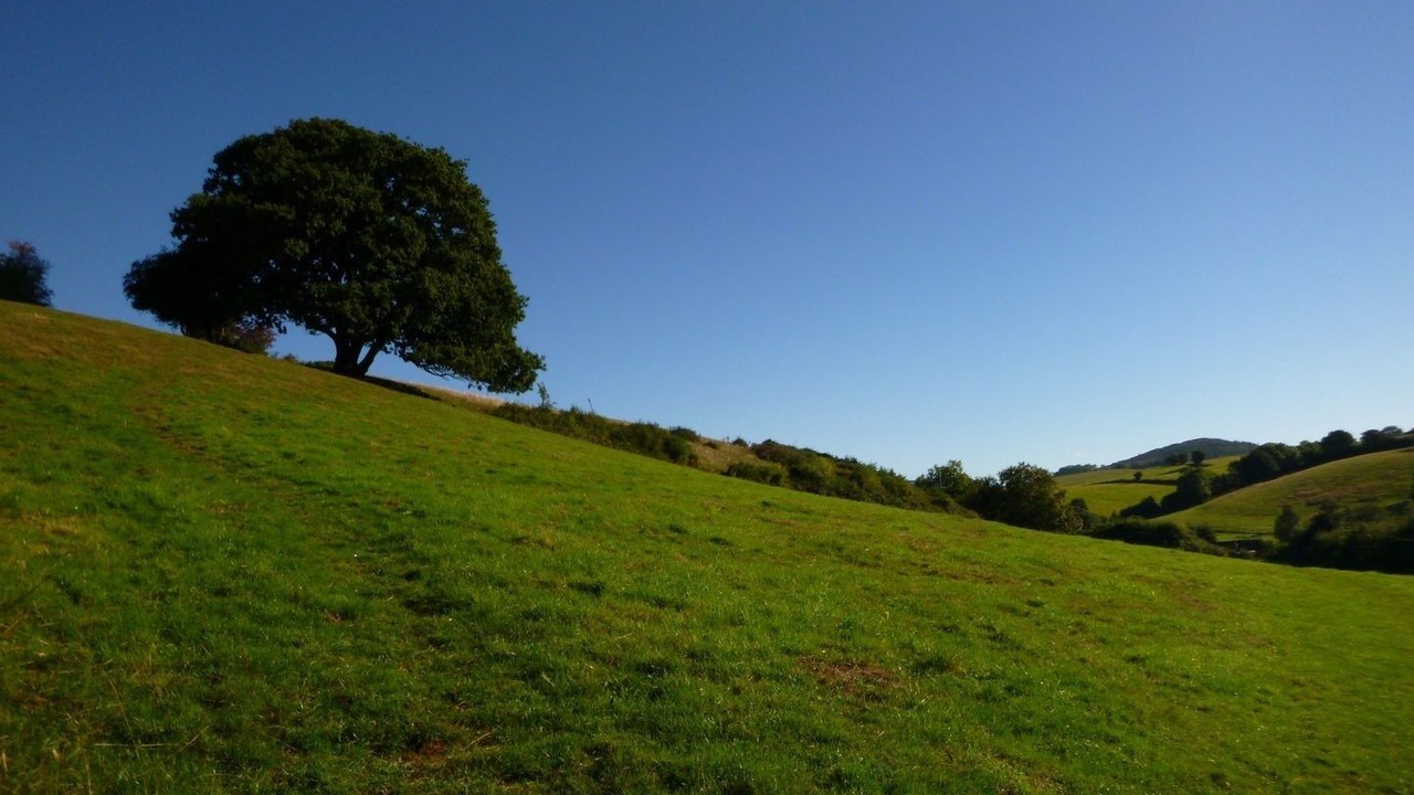 Photo of Outdoor in Otterton