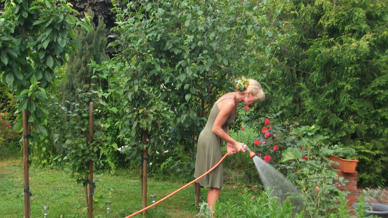 Photo of Outdoor in Unterboihingen