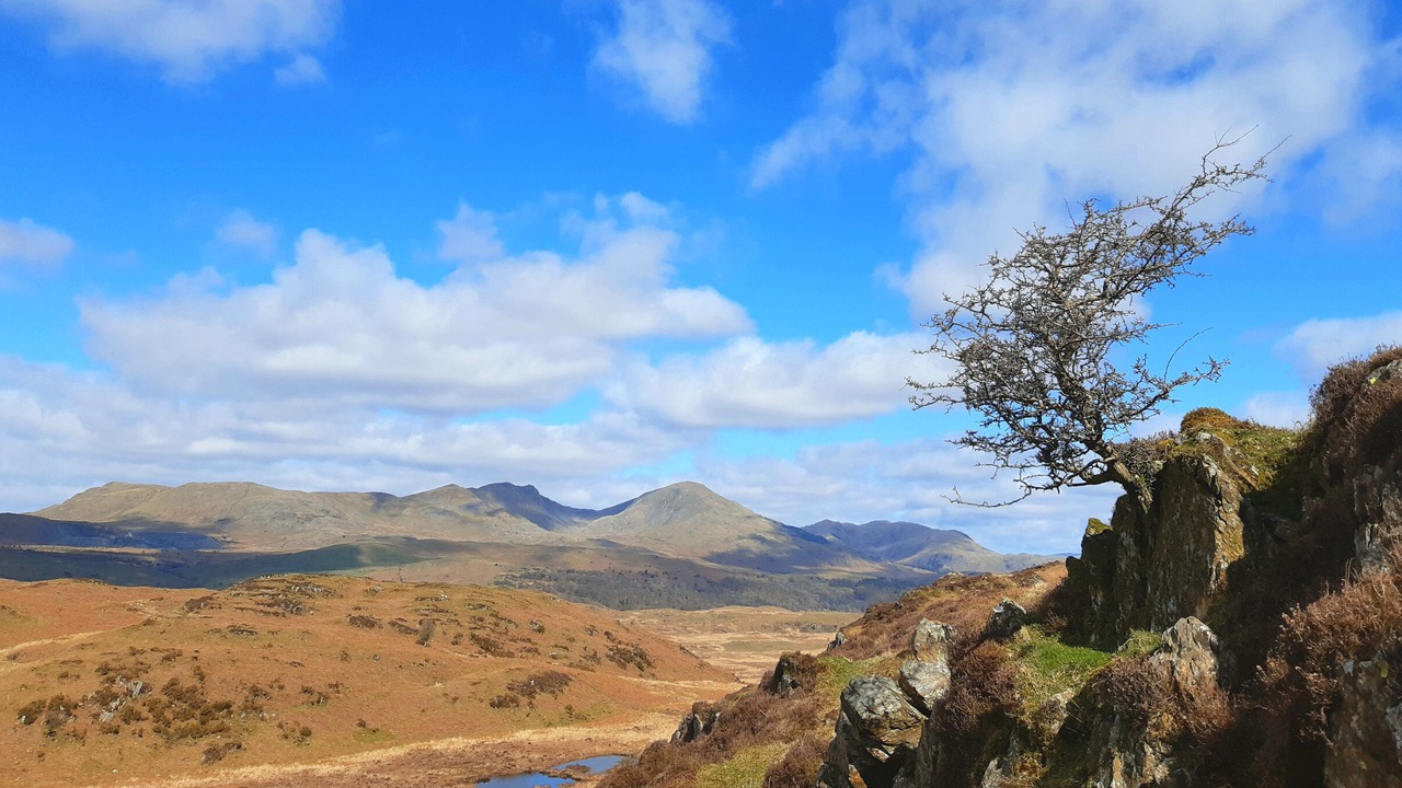 Photo of Outdoor in Backbarrow