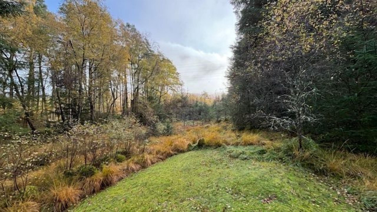 Photo of Outdoor in Crianlarich