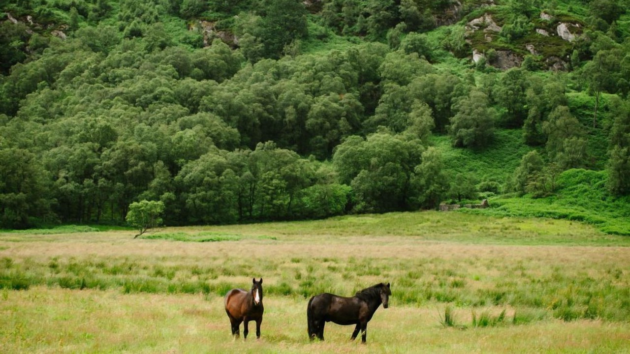 Photo of Outdoor in Crianlarich