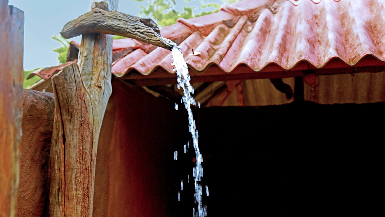 Photo of Others in Kataragama