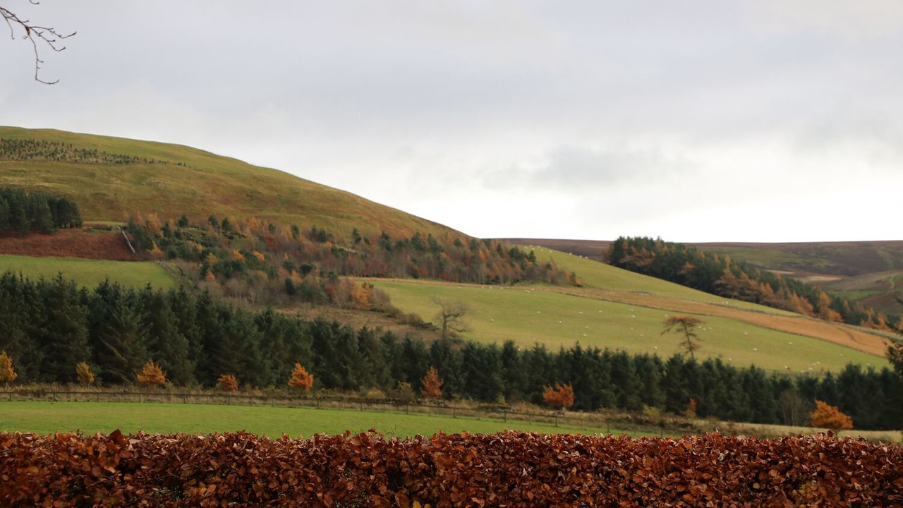 Photo of Outdoor in Haddington