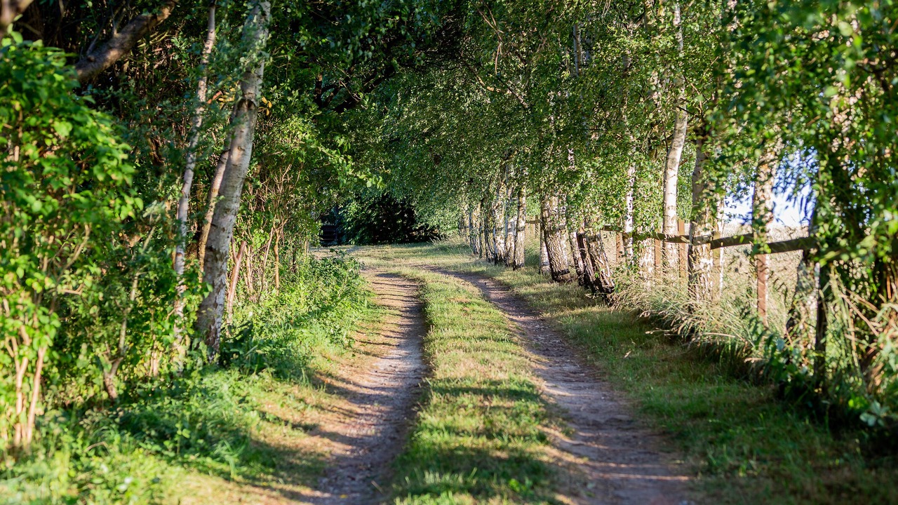 Photo of Outdoor in gmina Karnice