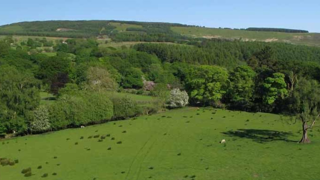 Photo of Outdoor in Margam