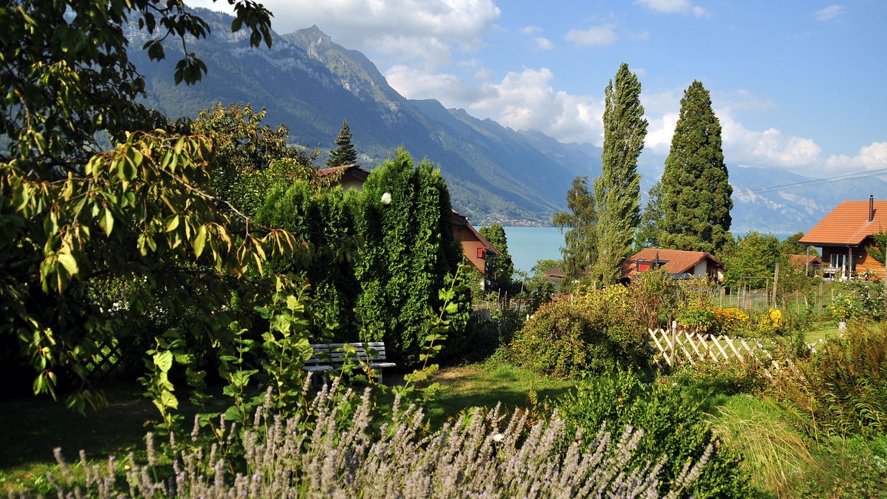 Photo of Outdoor in Boenigen