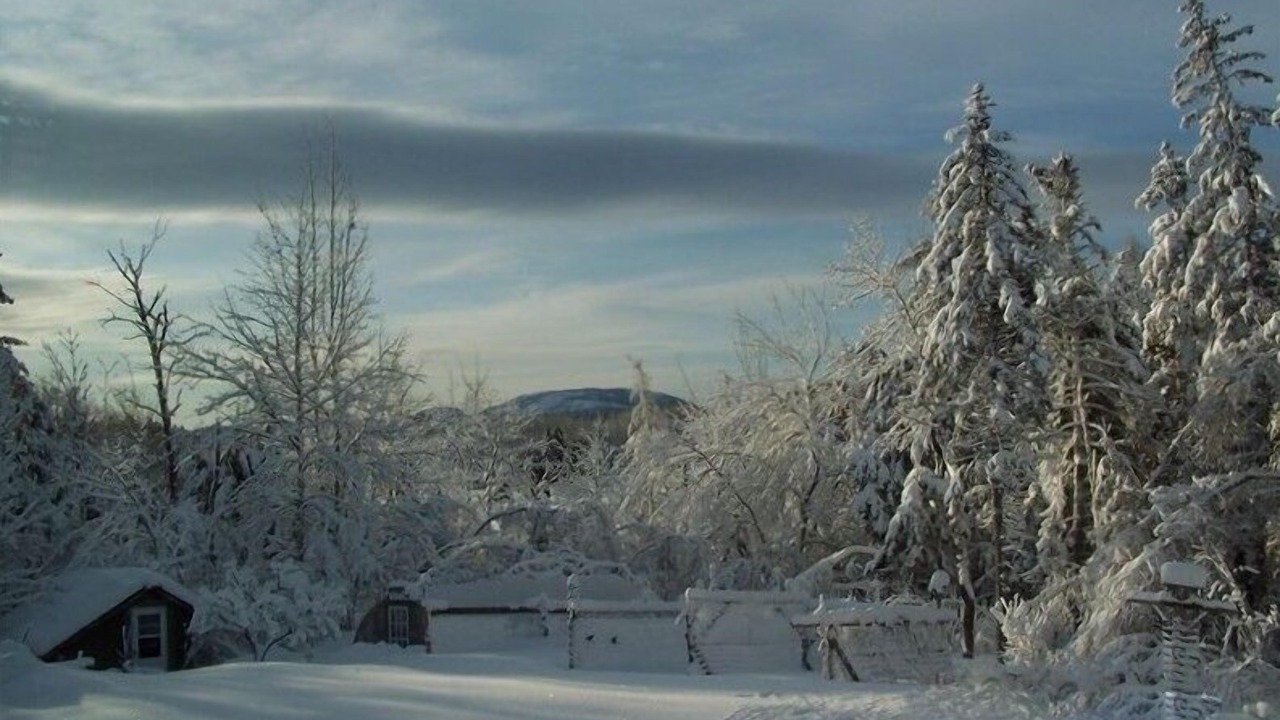 Photo of Others in Bar Harbor
