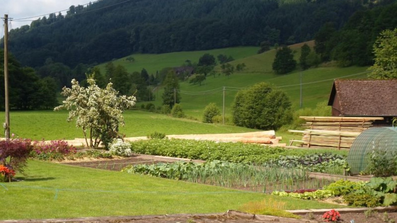 Photo of Outdoor in Lahr