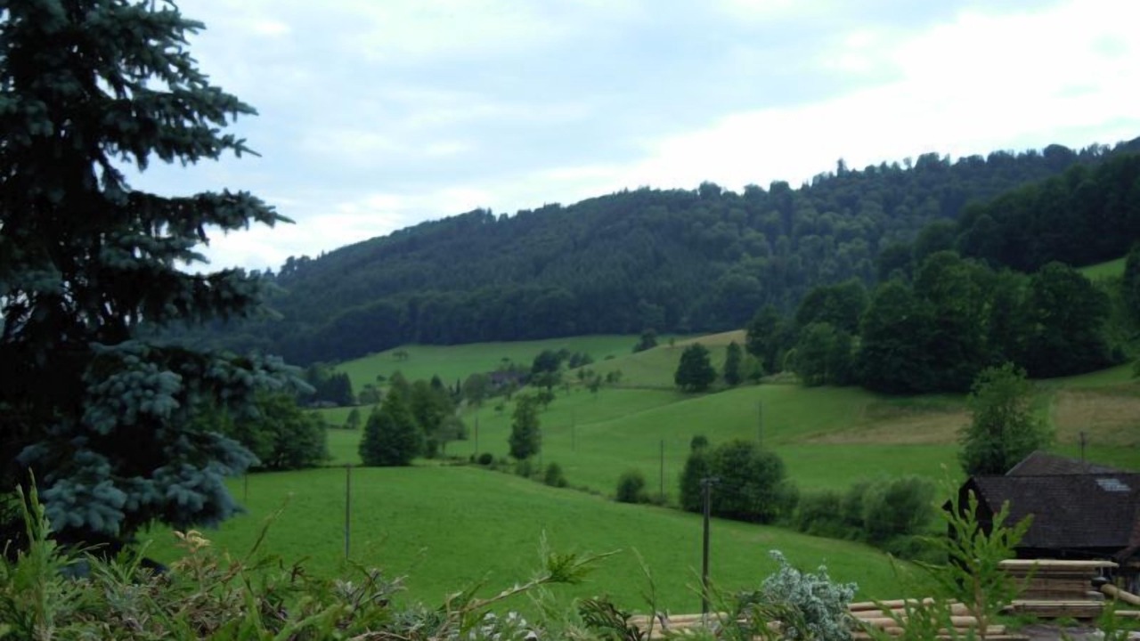 Photo of Outdoor in Lahr