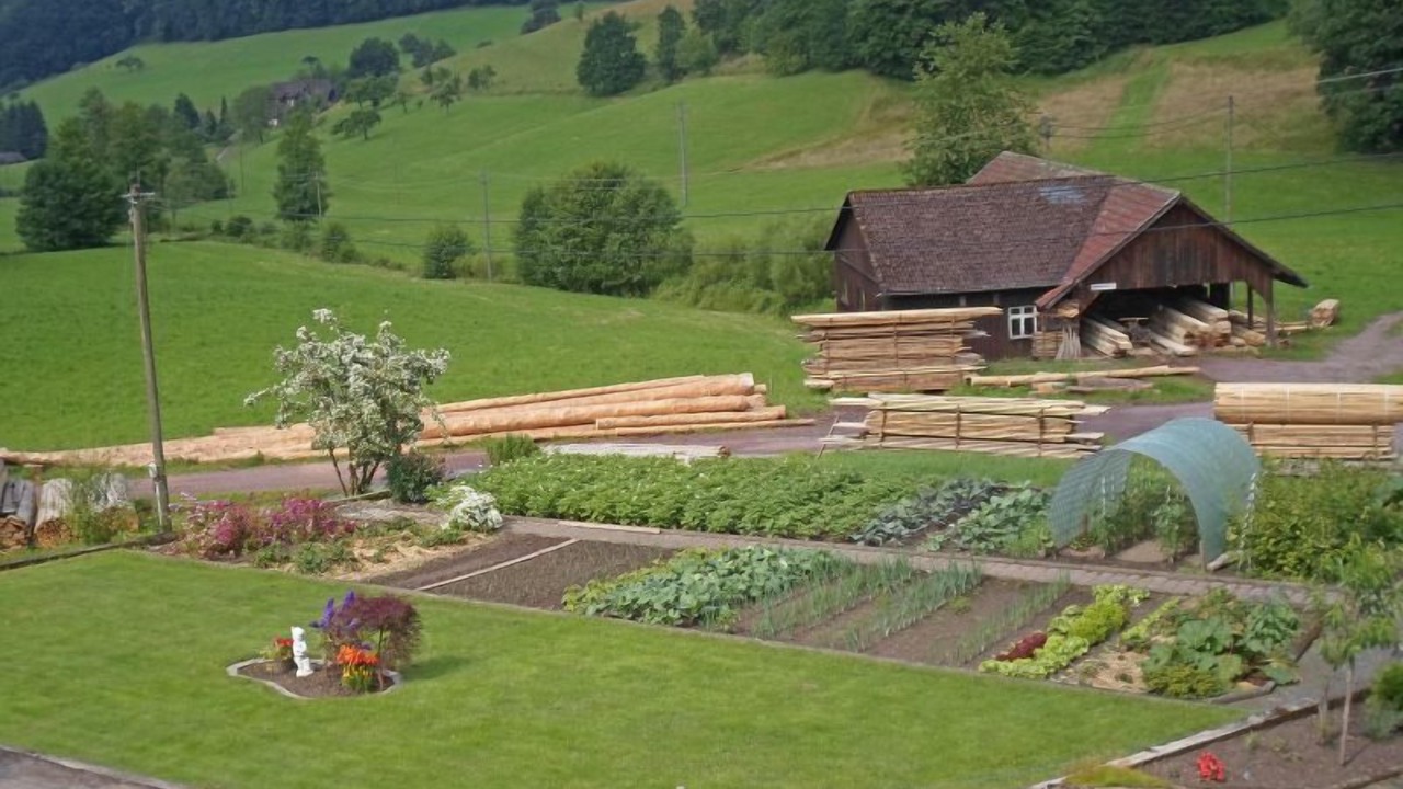 Photo of Outdoor in Lahr