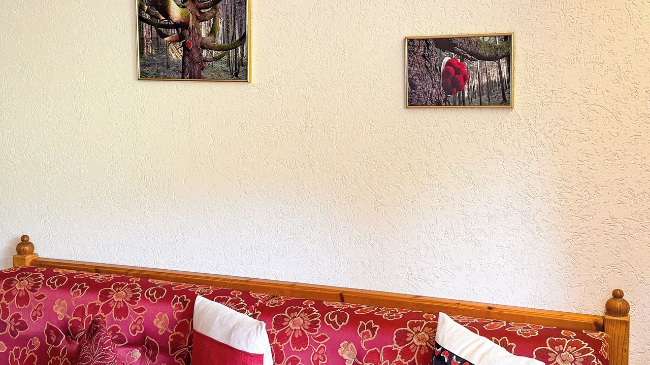 Photo of Others in Titisee-Neustadt
