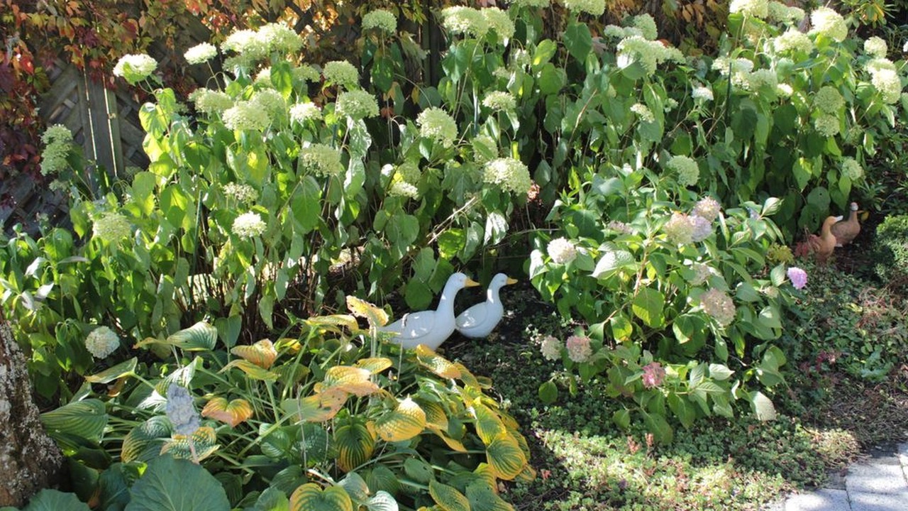 Photo of Outdoor in Gemarkung Tieringen