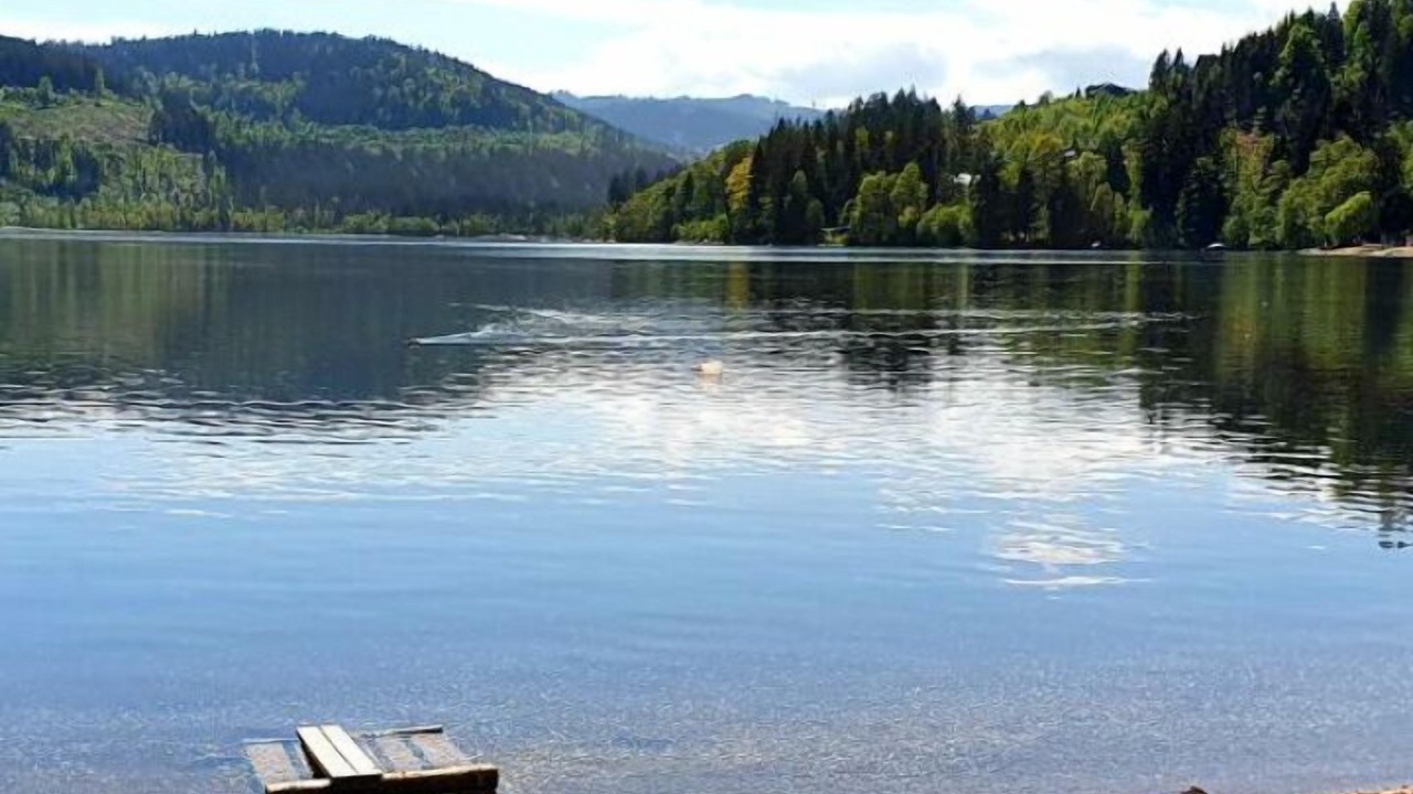 Photo of Outdoor in Titisee-Neustadt