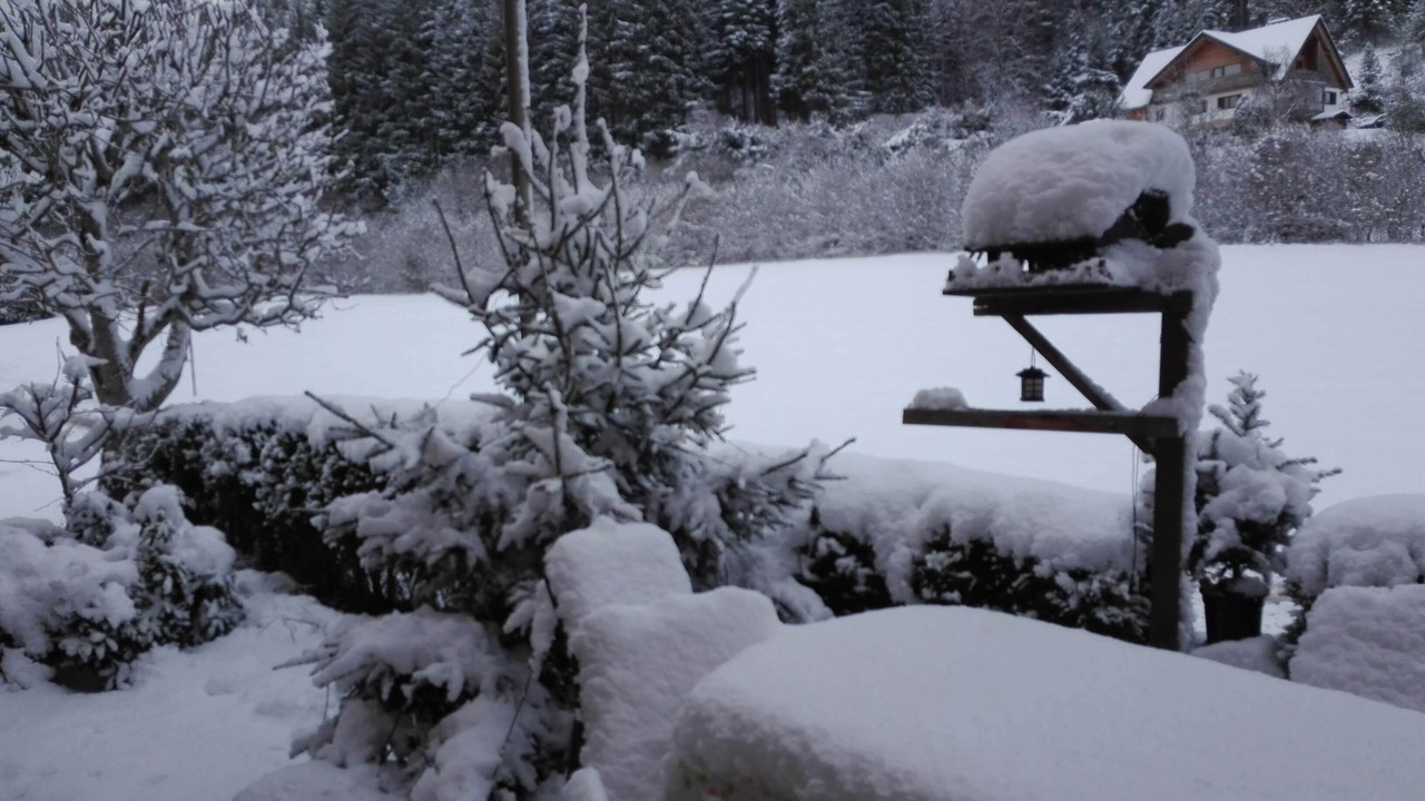 Photo of Outdoor in Titisee-Neustadt