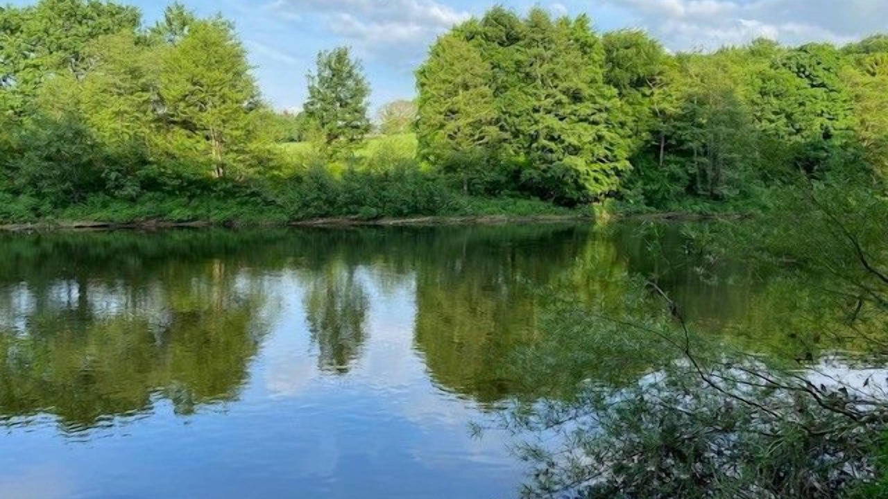 Photo of Others in Wetheral
