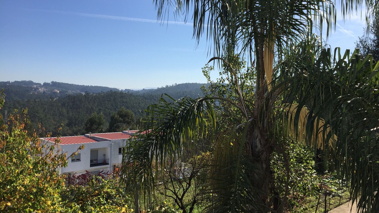 Photo of Outdoor in Mozelos