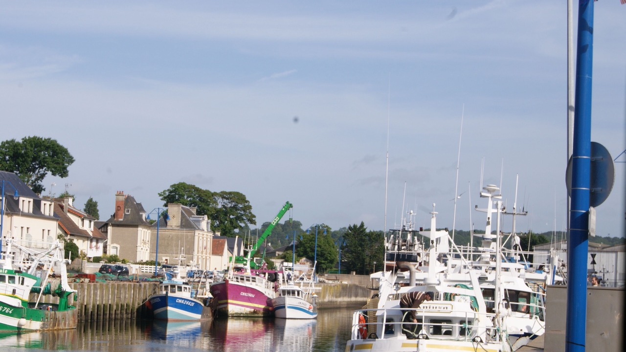 Photo of Others in Port-en-Bessin-Huppain