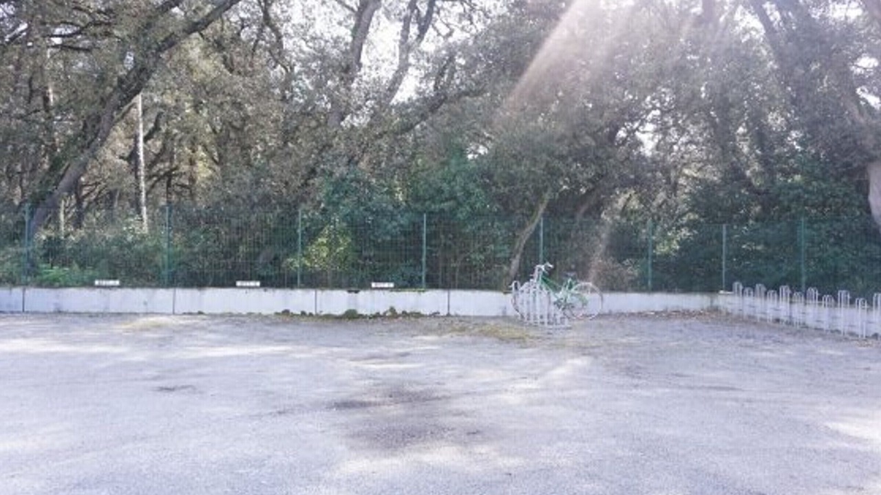 Photo of Outdoor in Noirmoutier-en-l'Ile