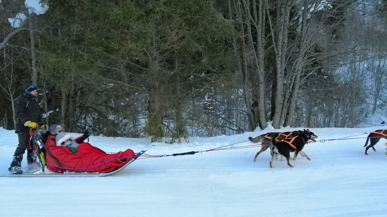 Photo of Others in Pralognan-la-Vanoise