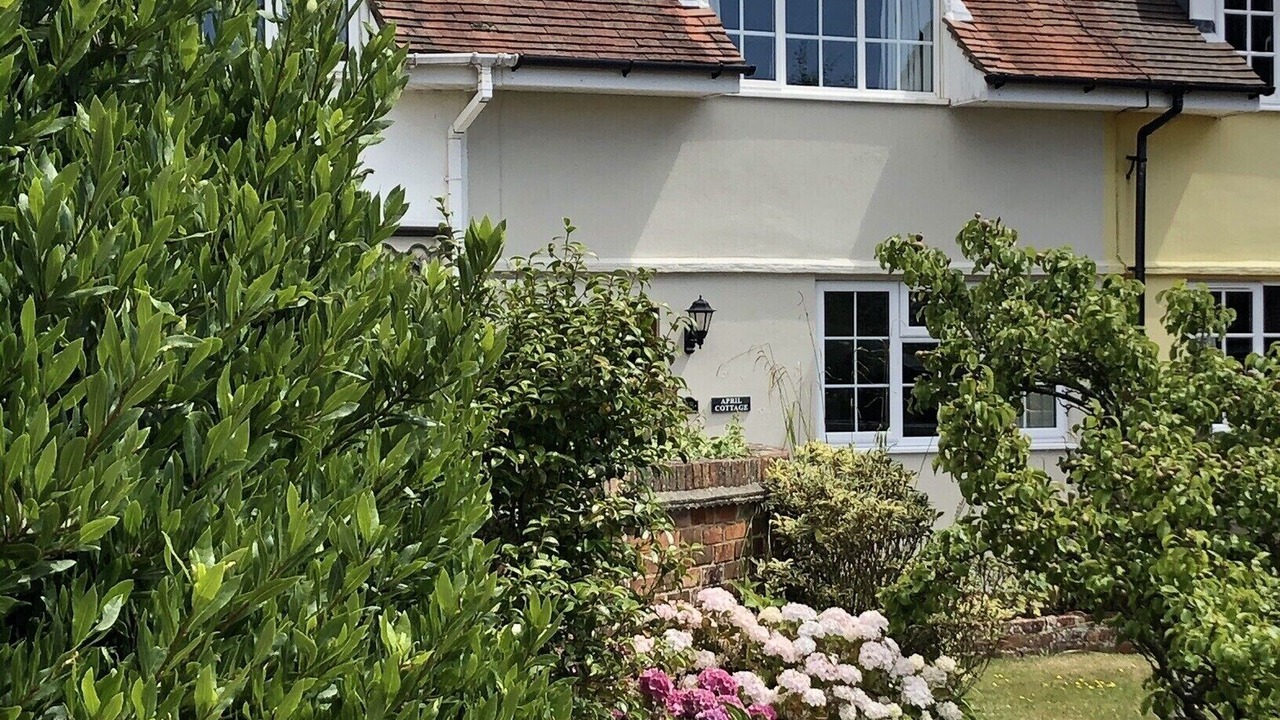 Photo of Outdoor in New Forest District
