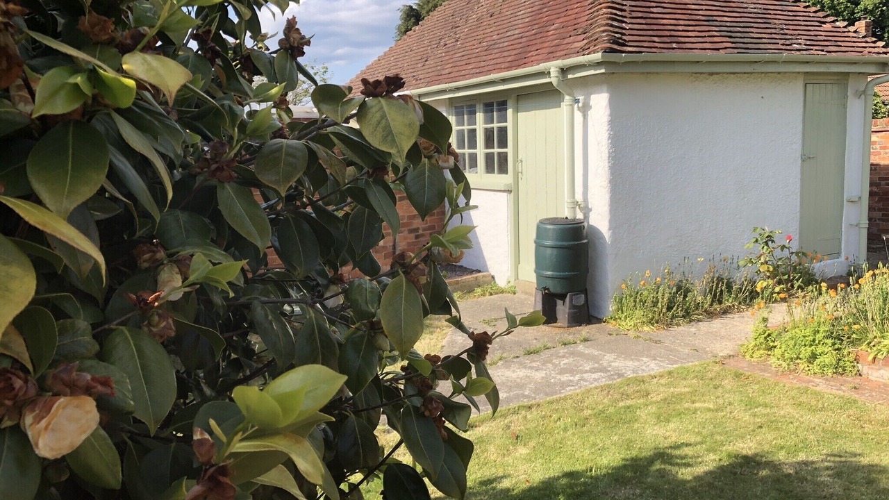 Photo of Outdoor in New Forest District