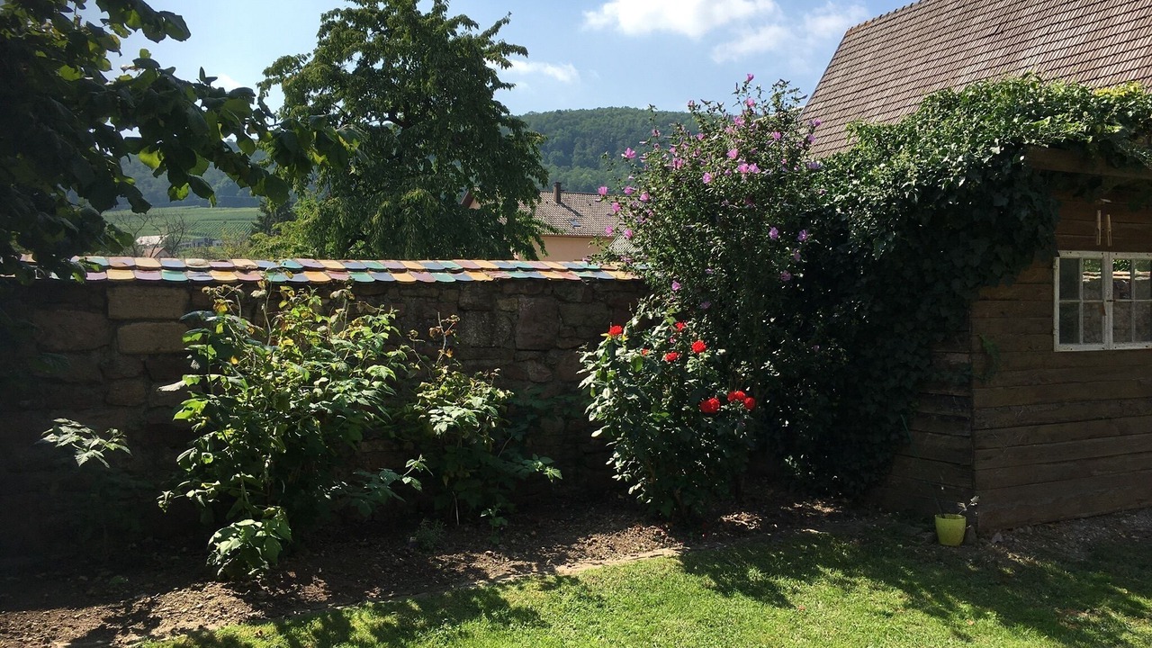 Photo of Outdoor in Soultzmatt