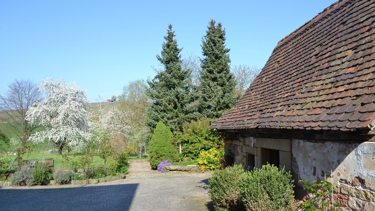 Photo of Outdoor in Cleebourg