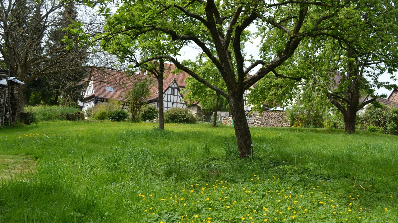 Photo of Outdoor in Cleebourg