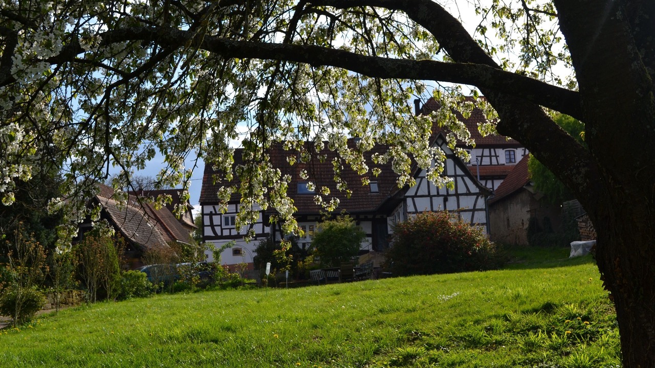 Photo of Outdoor in Cleebourg