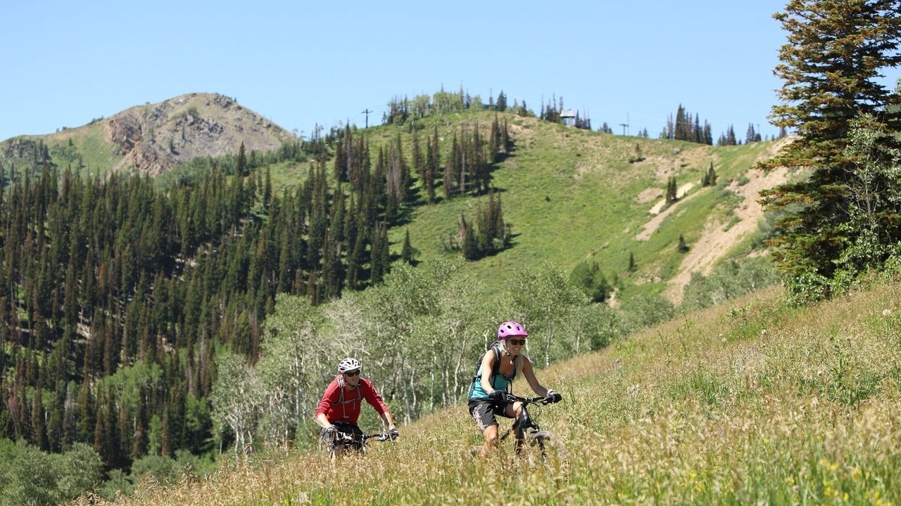 Photo of Others in Park City