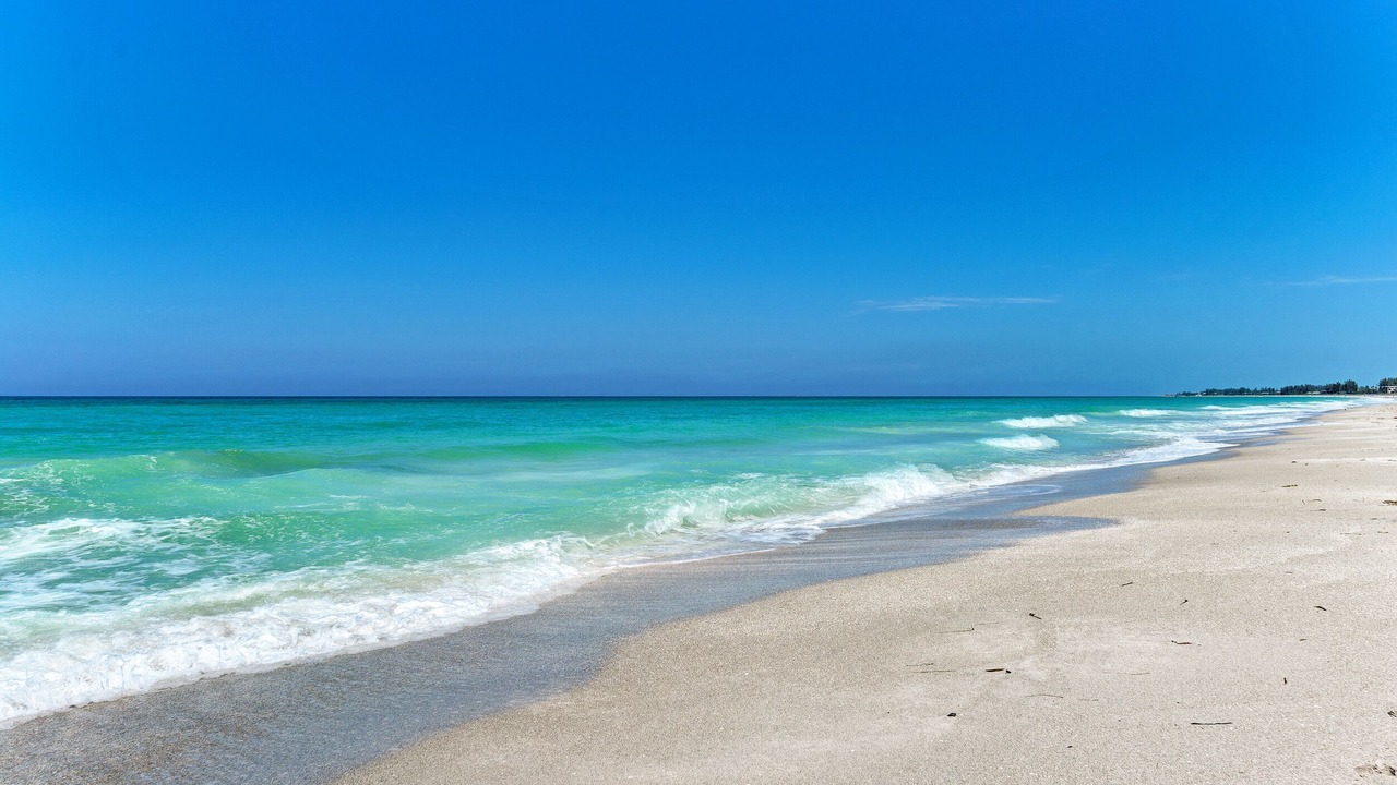 Photo of Others in Longboat Key