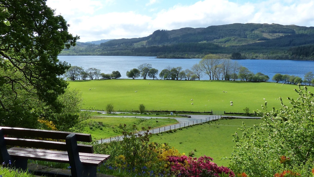 Photo of Others in Dalmally