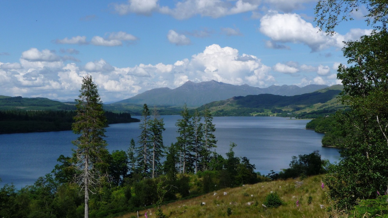 Photo of Others in Dalmally