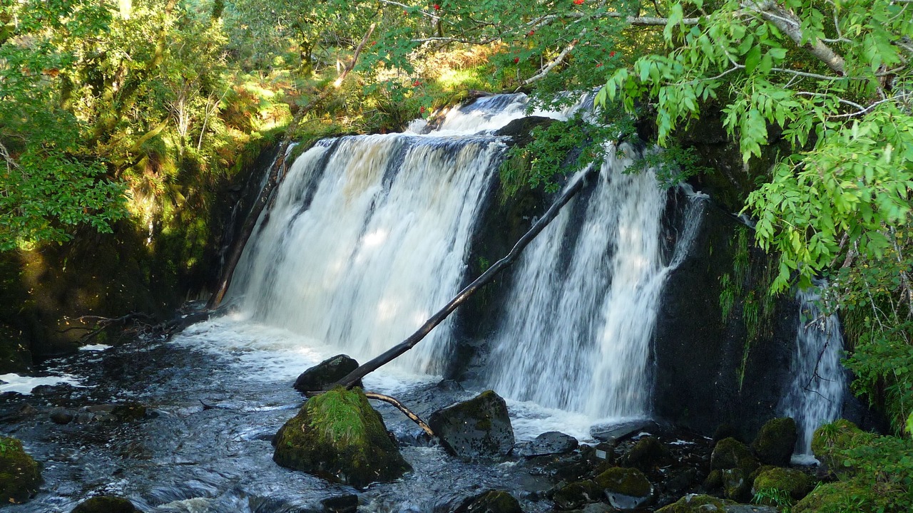 Photo of Others in Dalmally