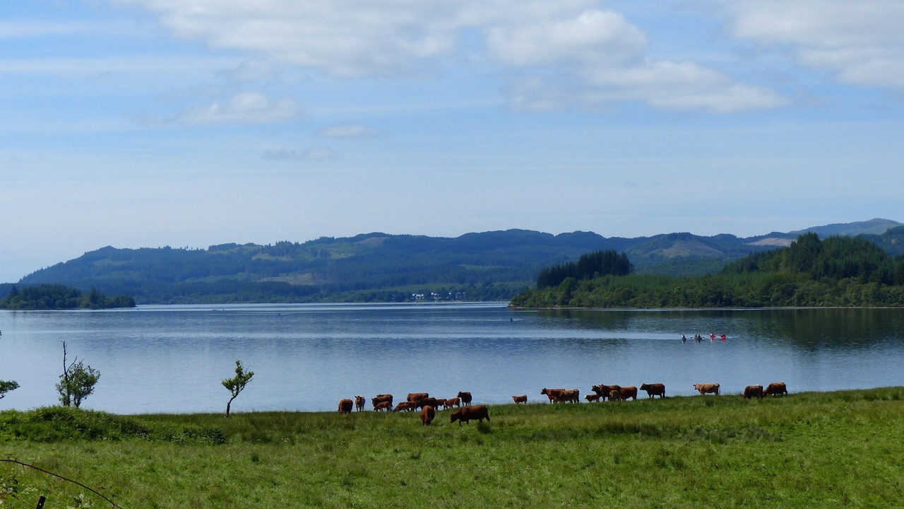 Photo of Others in Dalmally