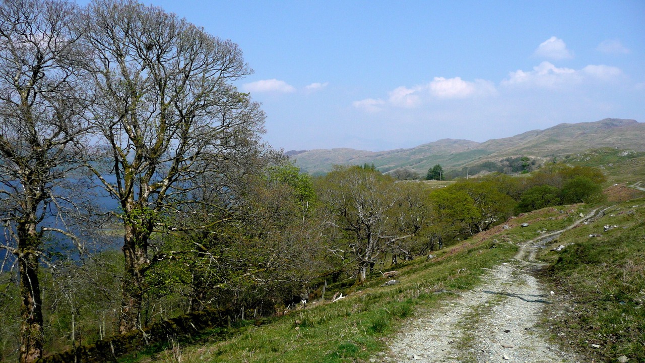 Photo of Others in Dalmally
