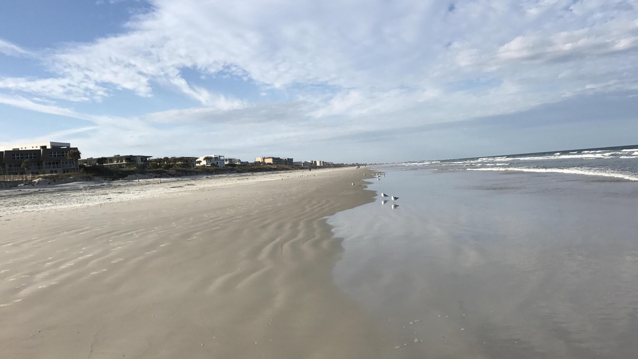 Photo of Others in Crescent Beach