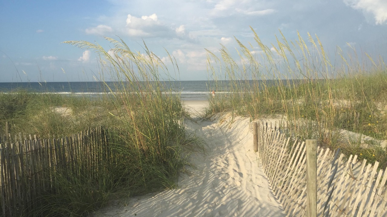 Photo of Others in Crescent Beach