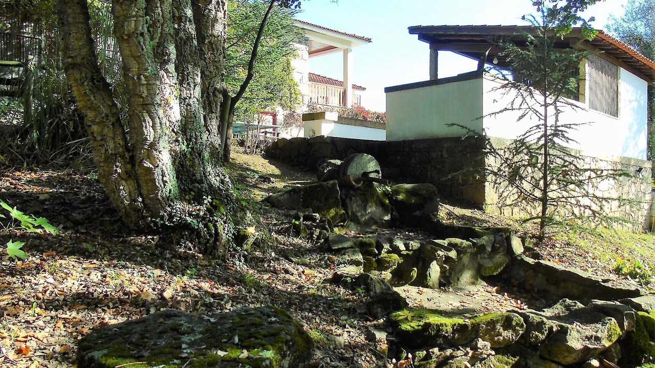 Photo of Outdoor in Molares