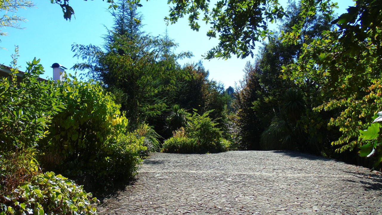Photo of Outdoor in Molares
