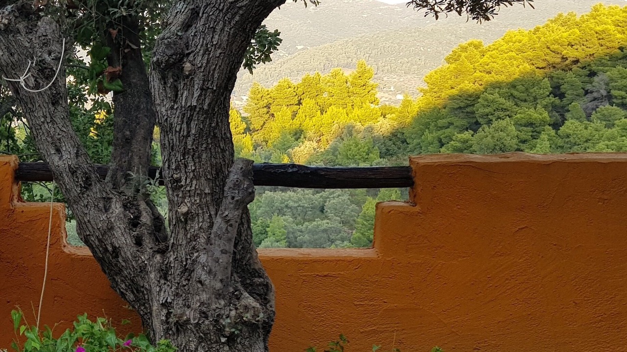 Photo of Outdoor in Skopelos