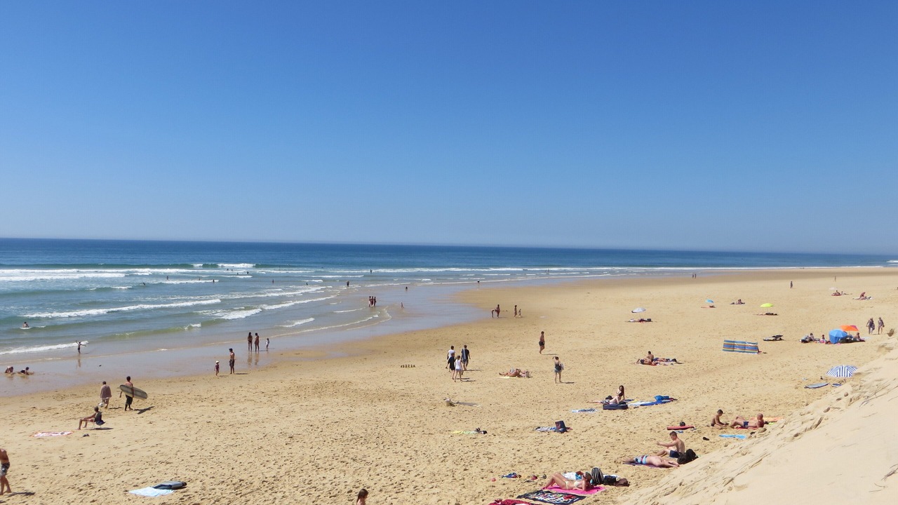 Photo of Others in Lege-Cap-Ferret
