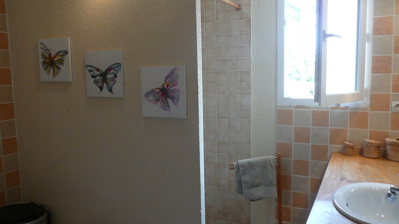 Photo of Bathroom in Collias
